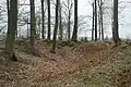 Wälle/Mauerreste des Hauptturms, Ansicht von Osten.