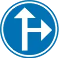 D3: vorgeschriebene Fahrtrichtung – geradeaus oder rechts