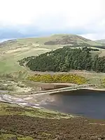Bell’s Hill