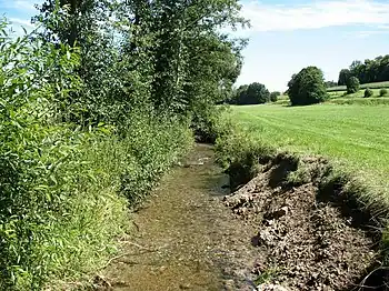 bei Ochsenhausen