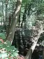 Belmer Bach bei den Gretescher Steinen