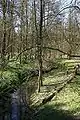 Belmer Bach-Zufluss: Halterner Bach