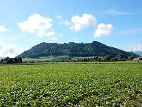 Der Belpberg von Norden gesehen