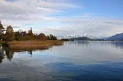 Obersee