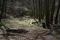 Wanderweg im NSG