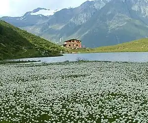 Bergerseehütte