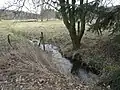 ca. 950 m nordöstlich des Funkturms, Wiese an der Kastanienallee (2019)