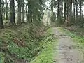 Zuflussgraben direkt westlich des Sichelbachreservoirs (2019)
