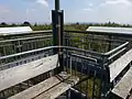 Plattform