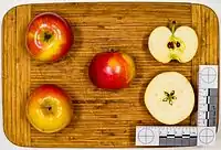Ansicht der Frucht