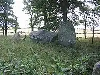 Steinkreis von Berrybrae