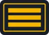 Branddirektor/-in