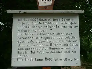 Tafel vor der Thomas-Müntzer-Linde
