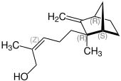 Strukturformel von (–)-β-Santalol