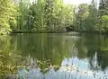 Teich am Turbinenhaus