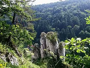 Biała Ręka