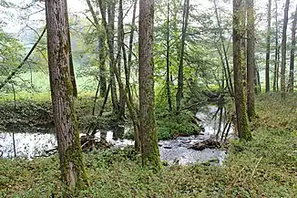 Bickenalb zwischen Altheim und Mittelbach