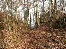 Schlossruine Bielriet