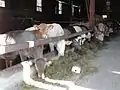 Landwirtschaftsbetrieb in Bienville-la-Petite
