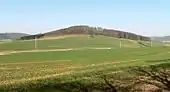 Der Bierberg
