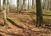 Bodenvertiefung auf dem Plateau der Bergkuppe