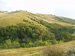 Die Bighorn Mountains