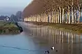 bei Elst, die Linge am Morgen des Herbstes