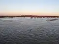 Die Waal bei Herveld