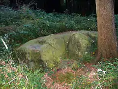 Opferstein 2, „Schalenstein“ im „Alten Hain“ des Leistruper Waldes