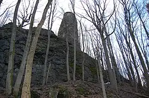 Burgruine Reichenstein