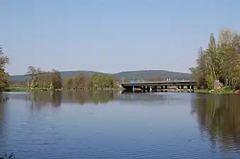 Die Schwarzach mündet in die Naab.