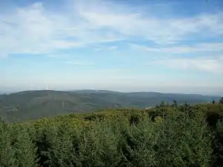 Blick vom Hochsteinchen im Soonwald ostwärts zum Binger Wald