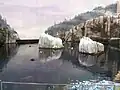Saint Lawrence Marine Eco-system