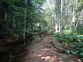 Nationalpark Biogradska Gora