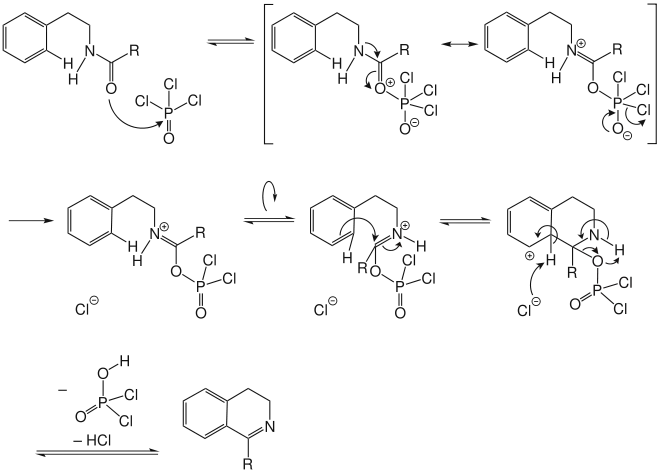 Variante 1 des Reaktionsmechanismus