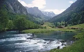 Die Muota im Bisistal