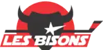 Bisons de Neuilly-sur-MarneHockey Club Neuilly-sur-Marne
