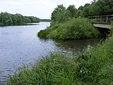 Mündung in die Saar