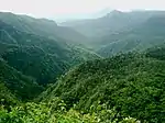 Black-River-Gorges-Nationalpark