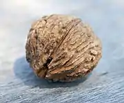 Schwarznuss