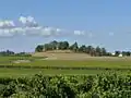 Reste der früheren Wallburg
