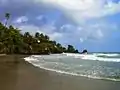 Surfer's Beach