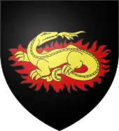 Salamander mit Flammengloriole (Gennes FR)