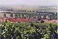 Blick über Welgesheim