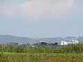 Blick von der Rheinebene bei Eich auf den Windpark