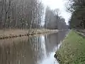 Ohre im Drömling