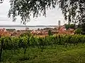 Blick vom Fürstenhäusle auf Meersburg
