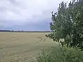 Blick vom Monarchenhügel über das ehemalige Schlachtfeld, im Hintergrund Großgörschen