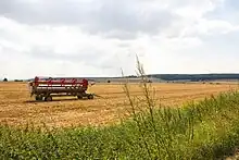 Blick von Ohrum auf den Oderwald