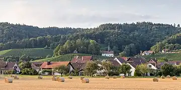 Blick von Süden auf Oberstammheim